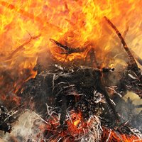 So Do You - Scene of Action