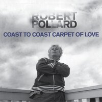 I Clap for Strangers - Robert Pollard