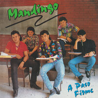 No Me Digas Adiós - Mandingo