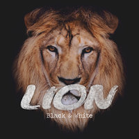 Downfall - Lion