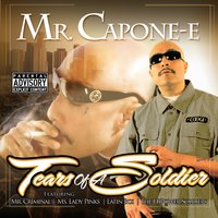 Did You Wrong - Mr. Capone-E