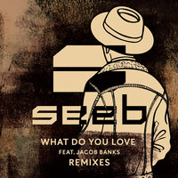 What Do You Love - Seeb, Jacob Banks, Zonderling