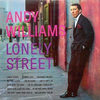 In the Wee Small Hours - Andy Williams