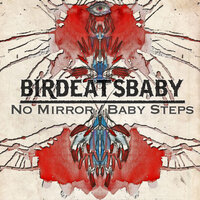 No Mirror - Birdeatsbaby