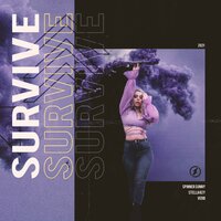 Survive - Spinner Sunny, VERB