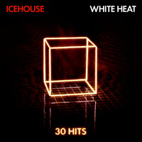 Nothing Too Serious - Icehouse