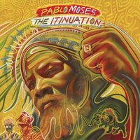 Lioness - Pablo Moses