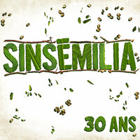 Jamais une mélodie - Sinsémilia