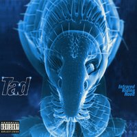 Particle Accelerator - Tad