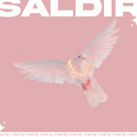 Saldır - Meriç