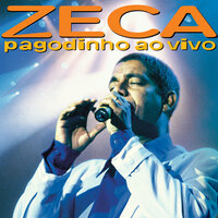 Rugas - Zeca Pagodinho