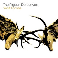 You Better Not Look My Way - The Pigeon Detectives