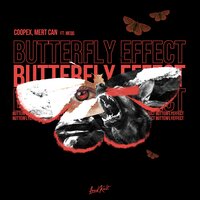 Butterfly Effect - MEQQ, Coopex