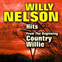 Wake Me When It's Over - Willy Nelson