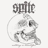 Nothing Is Beautiful - Spite