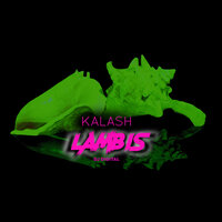 Lambis - KALASH