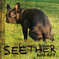 No Shelter - Seether