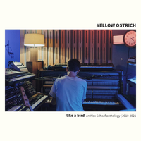 Julia - Yellow Ostrich