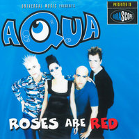 Roses Are Red - Aqua