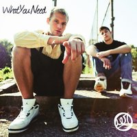 What You Need - AER