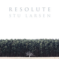 The Straight Line - Stu Larsen