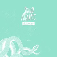Sidewinder - Stand Atlantic
