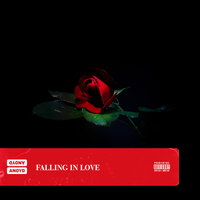 Falling In Love - ANoyd