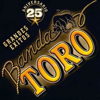 Rios de Babilonia - Banda El Recodo, Banda Toro