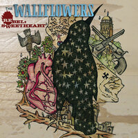 Days Of Wonder - The Wallflowers