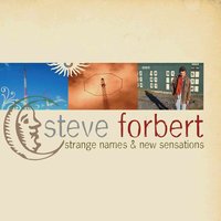 Middle Age - Steve Forbert