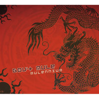 I Shall Be Released - Gov't Mule