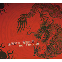 Lay Your Burden Down - Gov't Mule