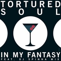 In My Fantasy - Tortured Soul, DJ Spinna