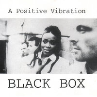 A Positive Vibration - Black Box