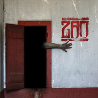 The Crimson Corridor - ZAO