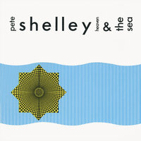 Life Without Reason - Pete Shelley