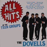 Why Do Folls Fall In Love - The Dovells