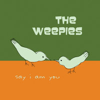 World Spins Madly On - The Weepies, Deb Talan, Steve Tannen