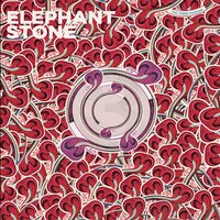Echo & the Machine - Elephant Stone