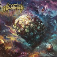 No Surrender - Phlebotomized