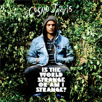 She Doesn't Mind - Cosmo Jarvis