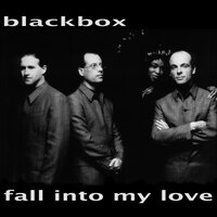Fall into My Love - Black Box