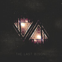 Endview - The Last Bison