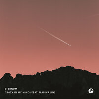 Crazy in My Mind - Eternum, Marina Lin