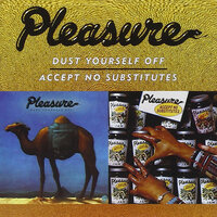 Pleasure For Your Pleasure - Pleasure