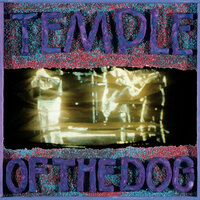 Your Savior - Temple Of The Dog