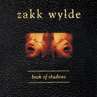 The Things You Do - Zakk Wylde