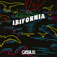 Ibifornia - Cassius, Myd