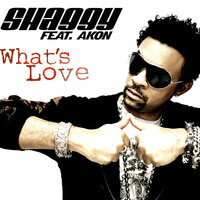 What's Love - Shaggy, Akon