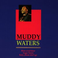 Your Can't Lose What You Ain't Never Had - Muddy Waters